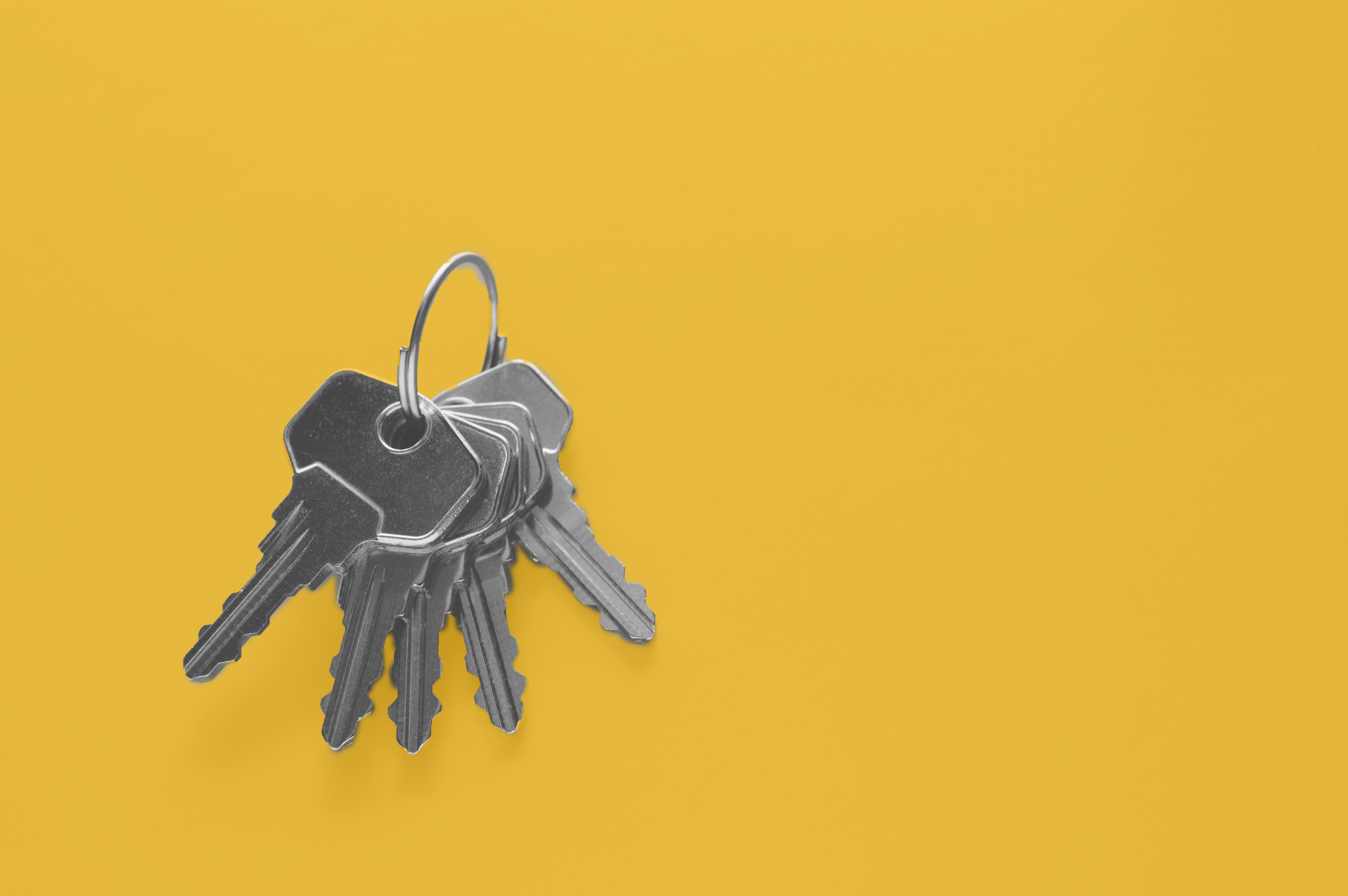 LHC/USDA Road Show Mamou